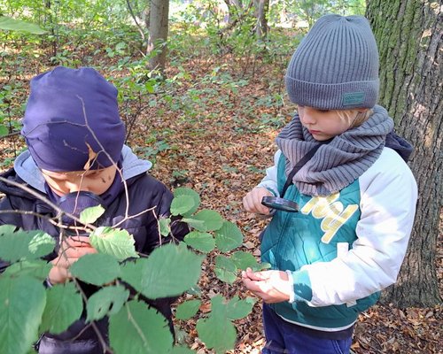 Podgląd zdjęcia 20251003_105957.jpg