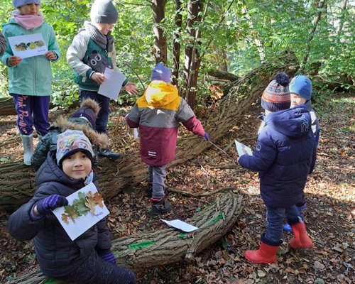 Podgląd zdjęcia 20251003_111833.jpg