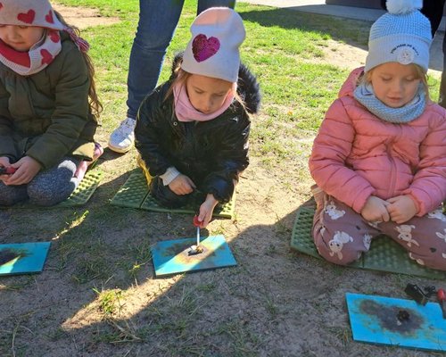 Podgląd zdjęcia 20251003_115505.jpg