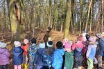 Grupa dzieci stoi, za nimi drzewa.