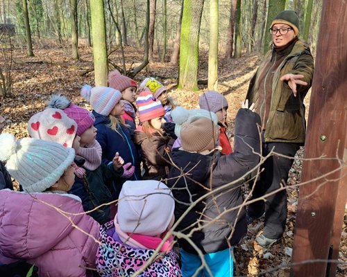 Podgląd zdjęcia 20260227_100422.jpg