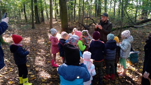 Dzieci słuchają opowiadanie leśnika na wycieczce do lasu